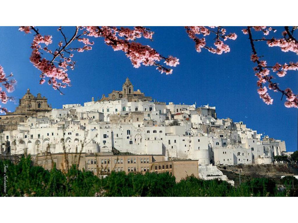 Casa Farella B&B In Suites Apartments Altamura X Matera Eksteriør bilde